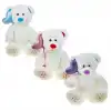 PL62486 30 CM KALPLİ BALONLU AYI -HLY