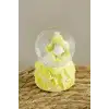 Prenses Işıklı Kar Küresi Minik