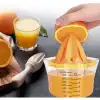 Rendeli Narenciye Sıkacağı