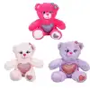 Renkli Sevimli Peluş Ayıcık 26 cm-1 Adet Stokta Olan Gönderilir