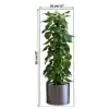 Saksılı Bitki Tasarımlı Yapışkanlı Sticker Resim 90*30 cm MC-665