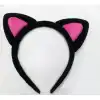 Sevimli Kedi Kulak Pofuduk Kedi Taç Şeker Pembe