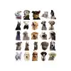 Sevimli Köpek Çıkartmaları Laptop Notebook Tablet Sticker Seti
