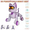 SH40194 U/K DANS EDEN ROBOT KEDİ -ZRV