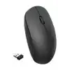 Kablosuz Mouse Siyah Optik USB Alıcılı 1600 DPI Ayarlanabilir Hassasiyet BX-315961