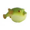 Strech Balon Balığı