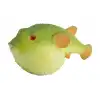 Strech Balon Balığı