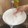 Suda Büyüyen Sünger