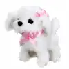 Sunman Sevimli Köpek Maltese
