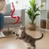 Süs Tasarımlı Kedi Oltası