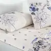 Taç Çift Kişilik Ranforce Nevresim Takımı Luna Mavi