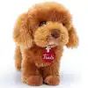 Trudi Peluş Toy Poddle Oliver Köpek 20 cm
