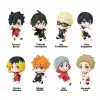 Twinchees Haikyu!! Defofig! Anahtarlık Figür Serisi