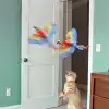 Uçan Papağan Kedi Oyuncağı