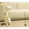 Vantuzlu Tüylü Zilli Kedi Oyun Oltası
