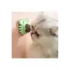 Yengeç Kedi Otu Oyun Topu