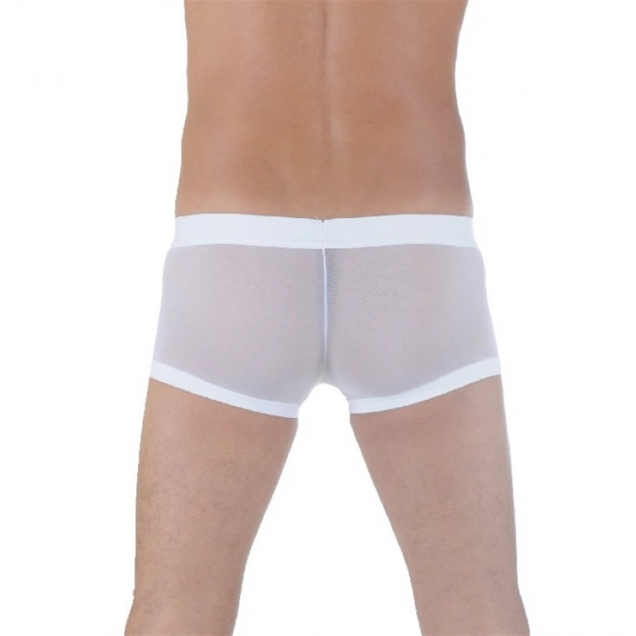 Br291125 Transparan Boxer