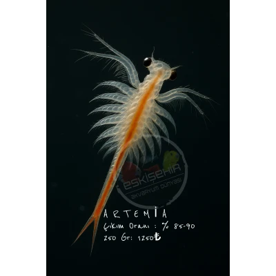 ARTEMİA 250 GR