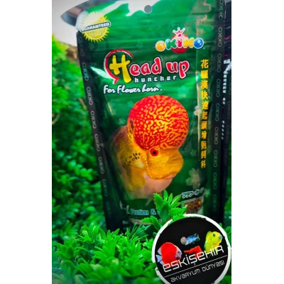 ORJİNAL PAKET OKİKO HEAD HUNCHER &ASTAXANTHİN FLOWERHORN RENK YEMİ YEŞİL