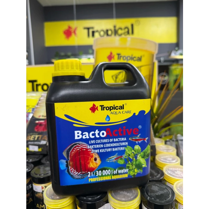 2 LT Tropical Bacto Active Bakteri Kültürü
