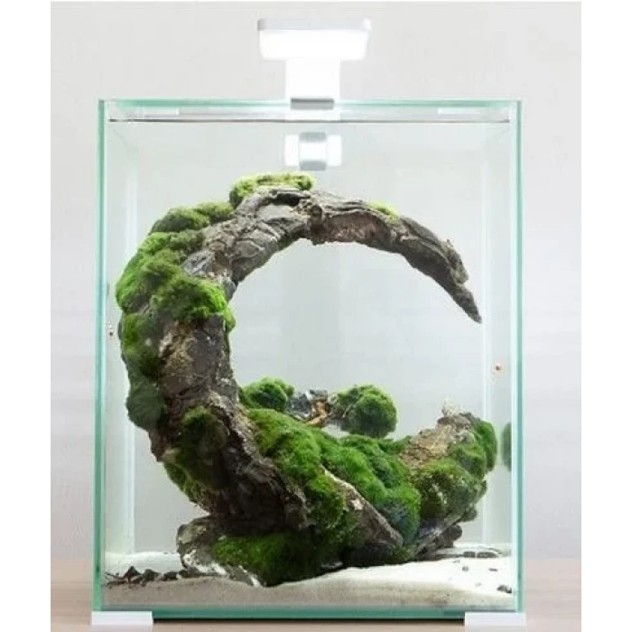 AQUAEL SHRIMP SET SMART D&N 20 WHITE