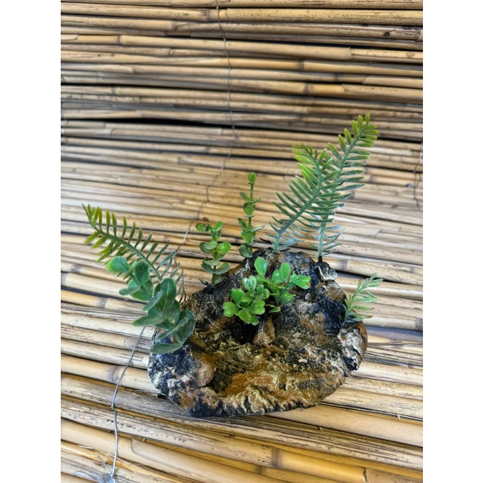 Bitki Çanak 14x7x8cm