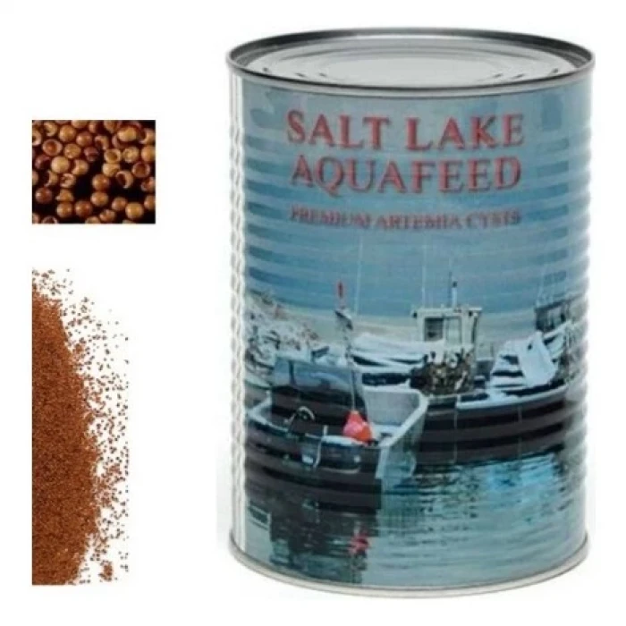 SALT LAKE ARTEMİA ( 50 GR)