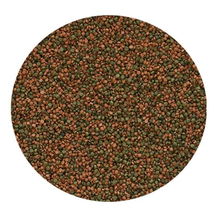 Tropical Cichlid Gran Kovadan Bölme 100gr