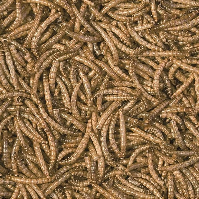 Tropical Mealworms 30gr