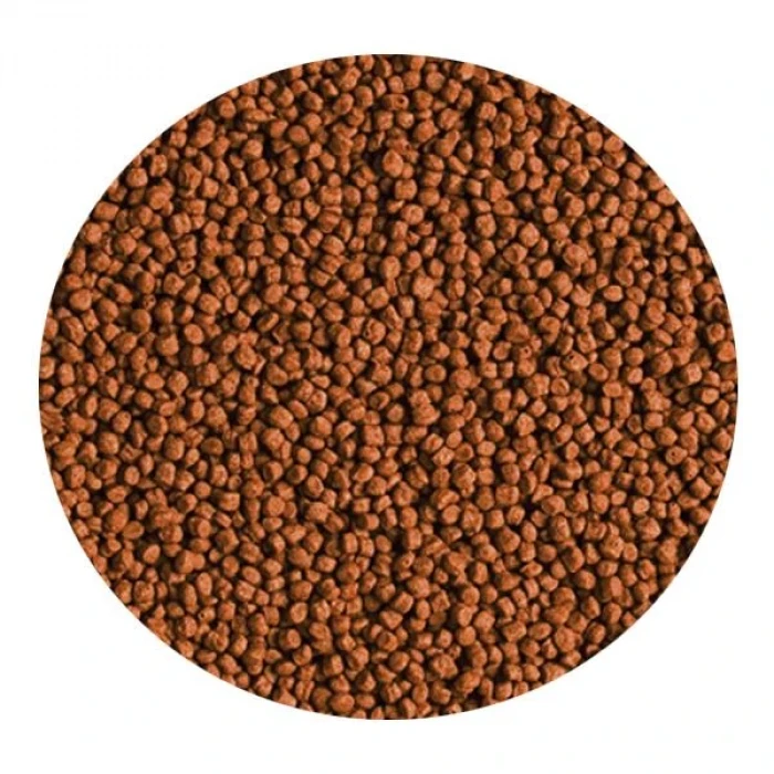 Tropical Red Parrot Granulat Kovadan Bölme 100 gr