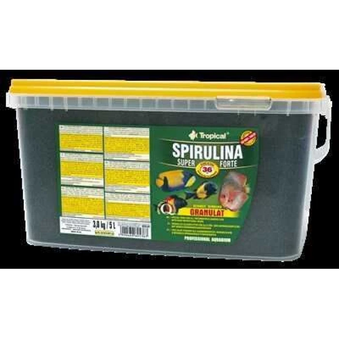 Tropical Spirulina Super Forte Granulat Slowly Sinking Kovadan Bölme 100gr