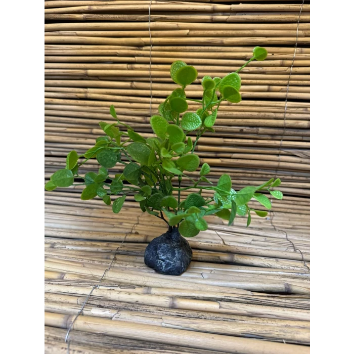 Yeşil Dallı 20x6x6cm