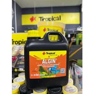 2 LT Tropical Algin Yosun Önleyici