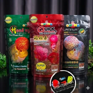 OKİKO ( FULL 3 RENK SET )