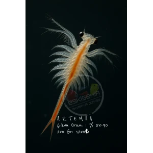 ARTEMİA 250 GR
