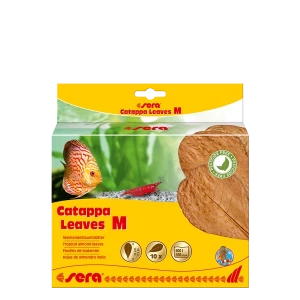 Sera Catappa Leaves M