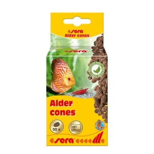 Sera Kızılağaç Kozalağı ( Alder Cones ) 50 Adet