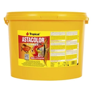 Tropical Astacolor Kovadan Bölme 100gr