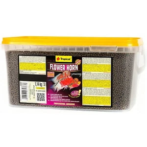 Tropical Flowerhorn Young Kovadan Bölme 100 gr