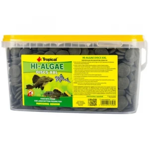 Tropical Hi-Algae Discs XXL Kovadan Bölme 100gr