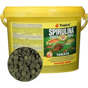 Tropical Spirulina Super Forte Tablets 100lü Paket Kovadan Bölme