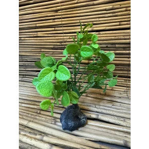 Yeşil Dallı 20x6x6cm