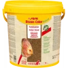 Sera Discus Color Nature Kovadan Bölme 100gr