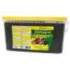 Tropical Cichlid Spirulina Medium Sticks Floating Type Kovadan Bölme 100 gr