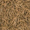 Tropical Mealworms 30gr