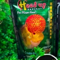 ORJİNAL PAKET OKİKO HEAD HUNCHER &ASTAXANTHİN FLOWERHORN RENK YEMİ YEŞİL