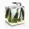 AQUAEL SHRIMP SET SMART D&N 20 BLACK