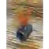 BORU GEÇİŞ BİTKİLİ