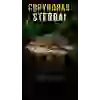 İTHAL CORYDORAS STERBAİ ÇİFT (SHOW BOY) ÜCRETSİZ KARGO