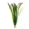 SAZ BİTKİ BAĞ